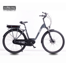 Le meilleur vélo électrique de prix bas de commande moyenne de 8fun de porcelaine, ville et vélo à vendre